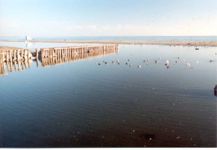 beach_wide_small