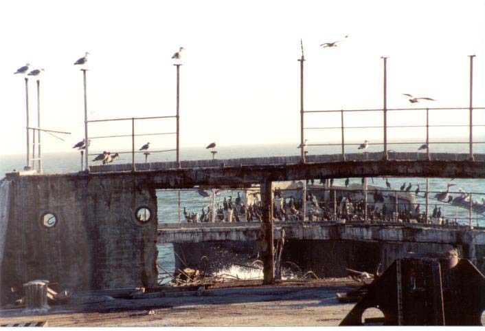 cementship2_small