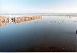 beach_wide_small