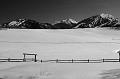AspenMeadow_1_2008