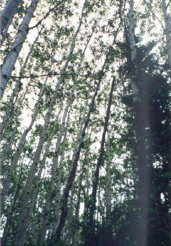 bUntitled-33