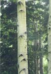 bUntitled-3_1