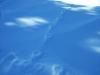 2005_0104Image0097