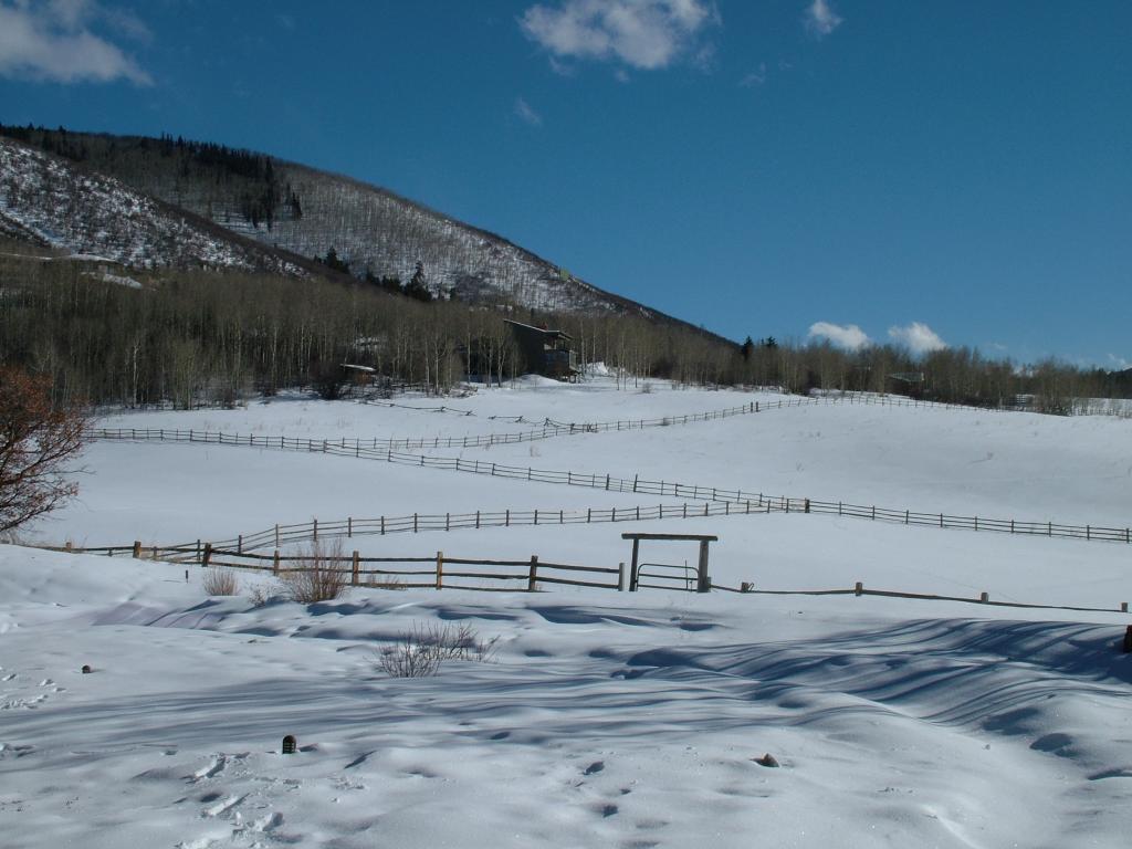 2005_0104Image0002