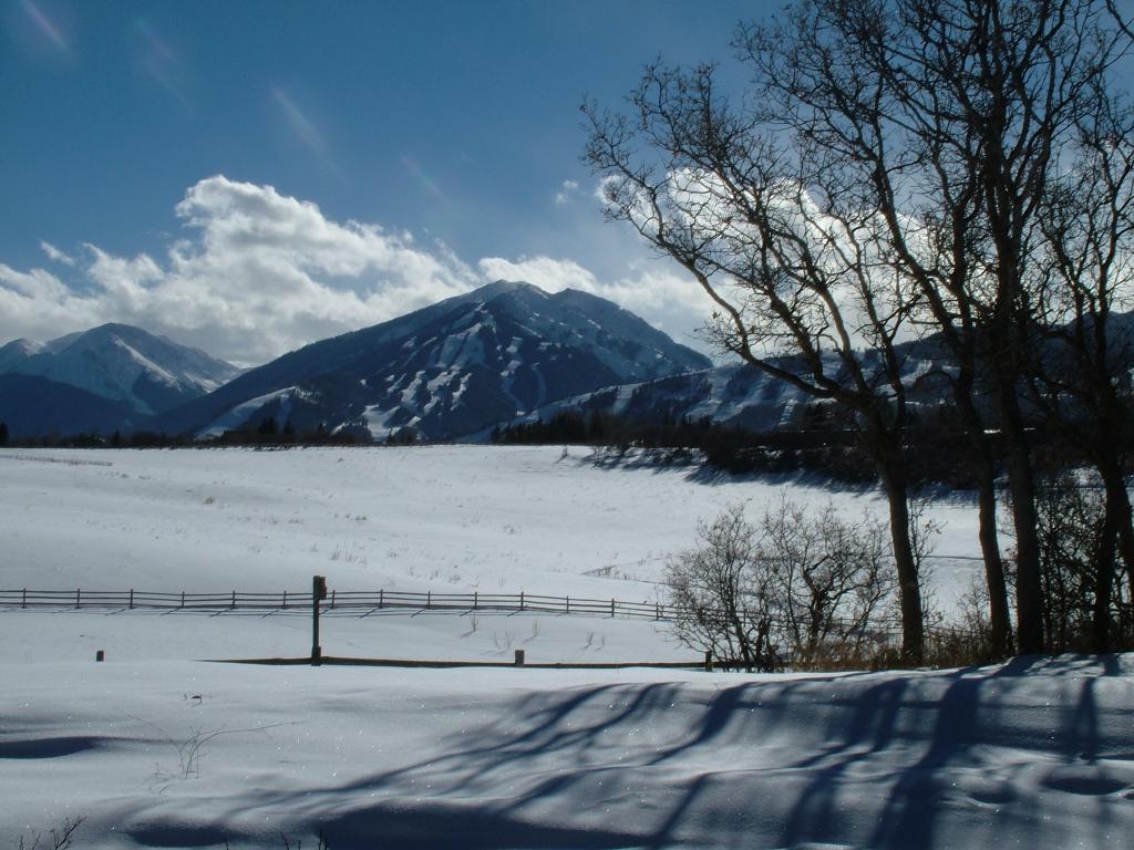 2005_0104Image0004