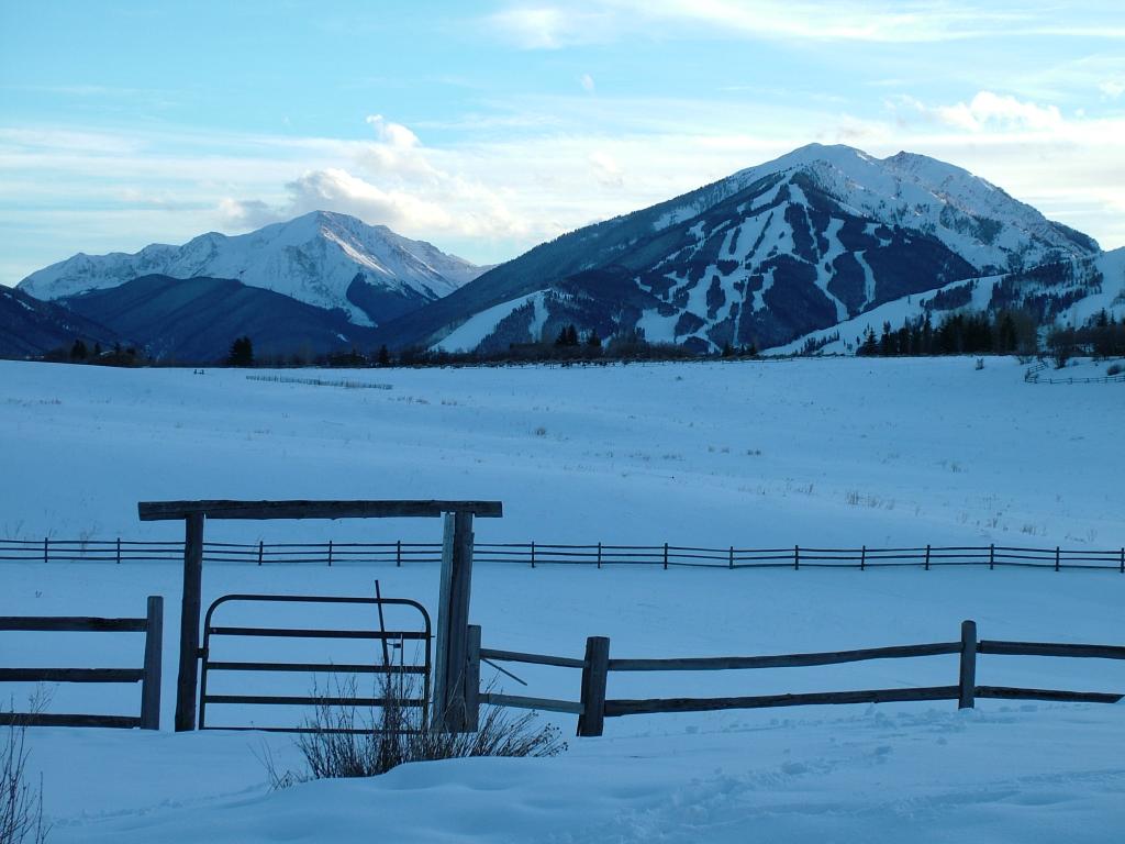 2005_0104Image0019