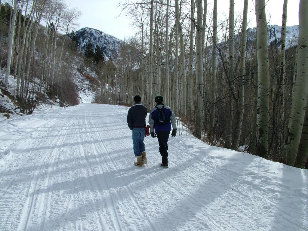 2005_0104Image0046