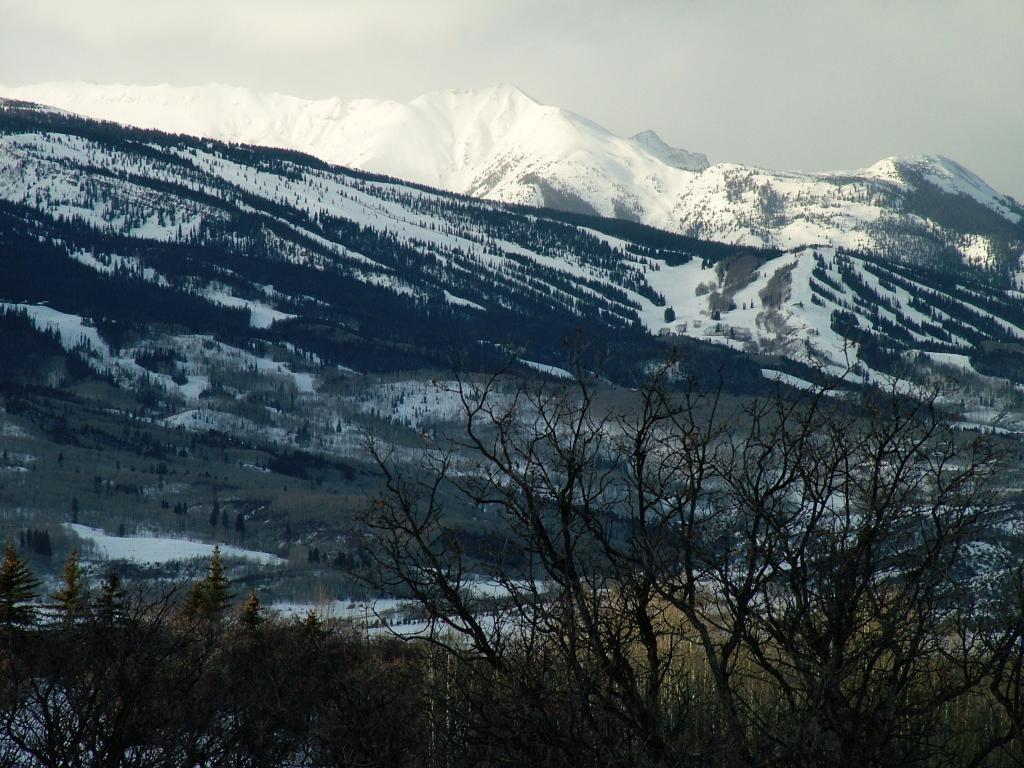 2005_0104Image0080