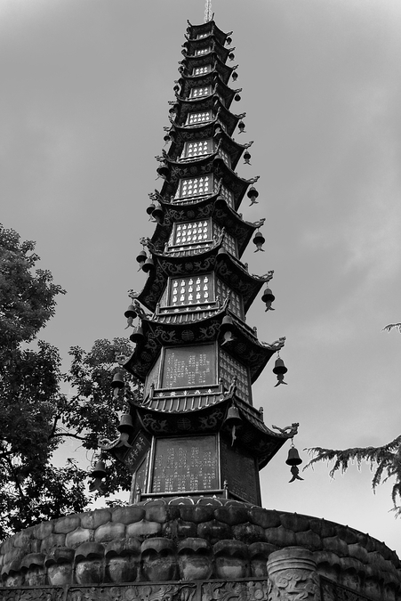 IMGP8215.jpg