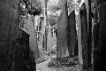 IMGP8193