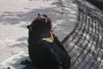 eimg06a