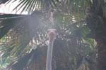 eimg09a