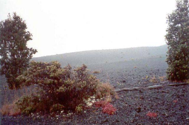 Desolation_2