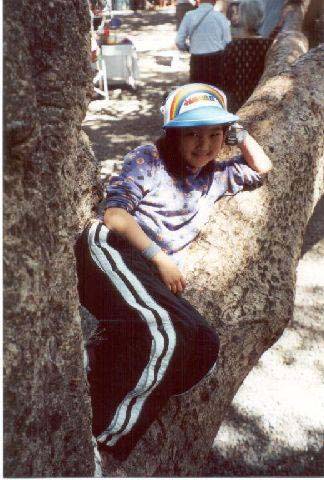 Tree_3