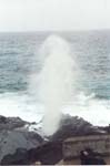 Blowhole_1