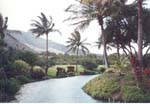 Plantation_3