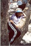 Tree_3