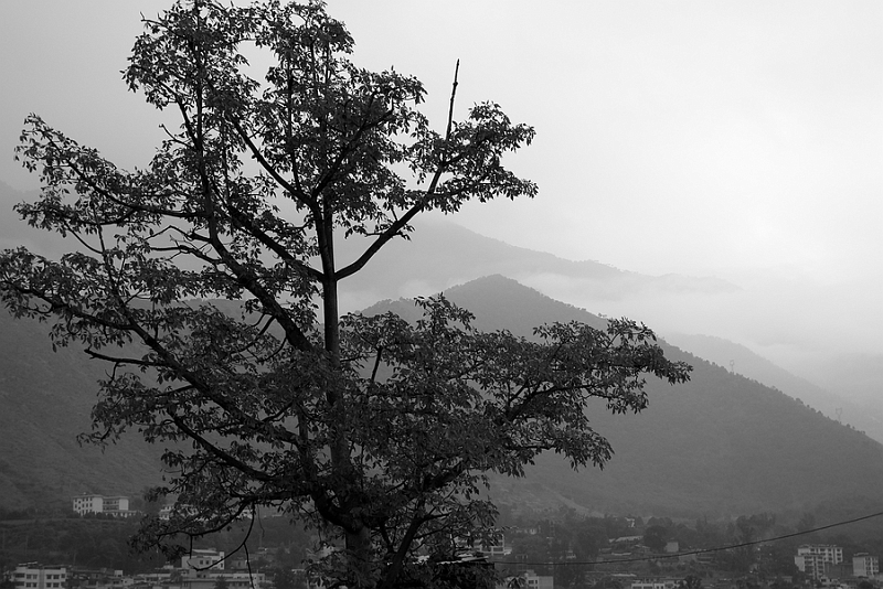 IMGP7922.jpg