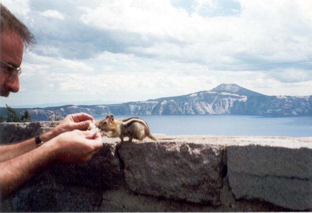 crater_squirrel1