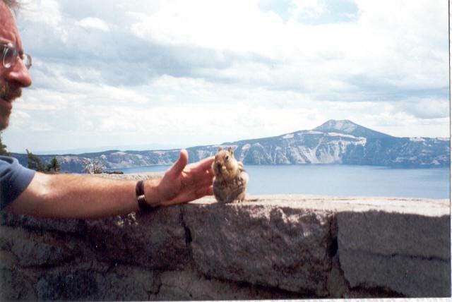 crater_squirrel2
