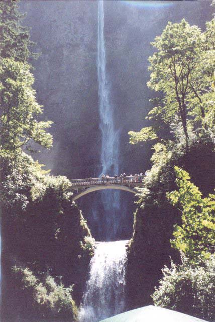 multnomah1