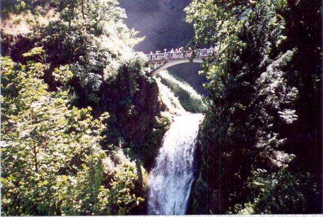 multnomah2