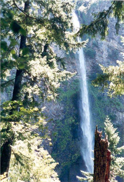 multnomah3