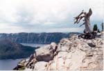 crater7