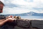 crater_squirrel1
