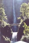 multnomah1