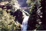 multnomah2