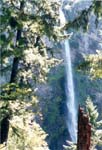 multnomah3