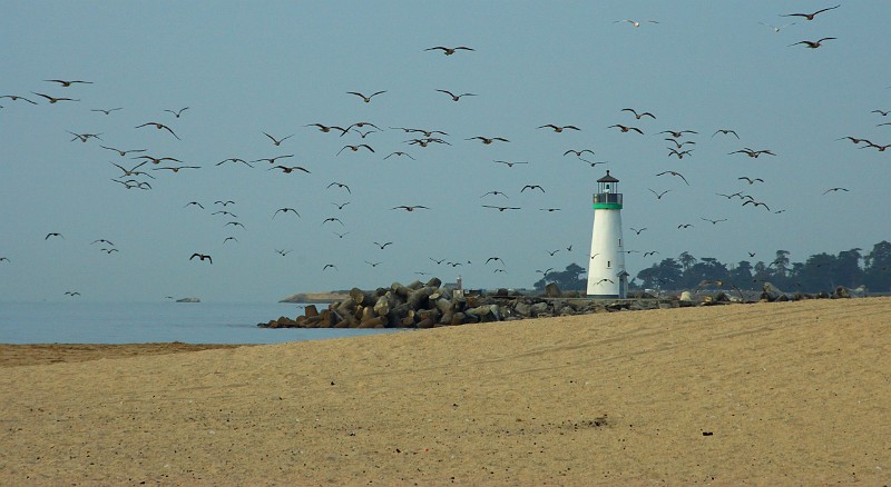 LighthouseAndCompanions.jpg