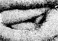 HayWrappings