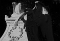 Sorrow