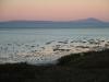 sanfranciscobay1