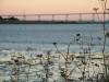 sanmateobridge