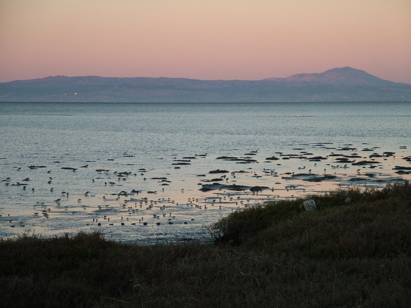 sanfranciscobay1