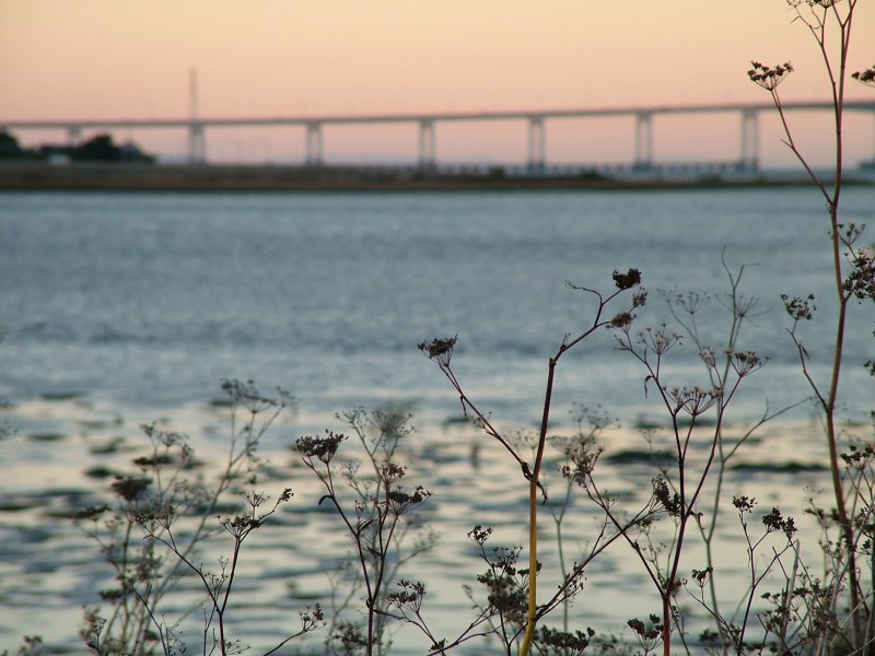 sanmateobridge